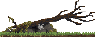 동물: 토끼/너구리/닭